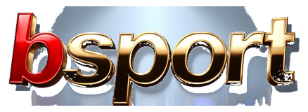 bsport bty6138 logo